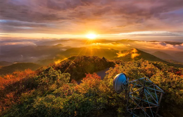 Picture autumn, forest, the sun, light, trees, mountains, hills, foliage