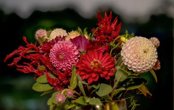 Summer, leaves, flowers, the dark background, bouquet, red, pink, different