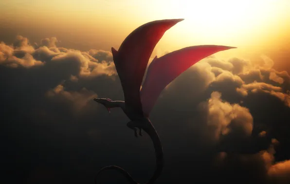 Picture clouds, flight, sunset, dragon, in the sky