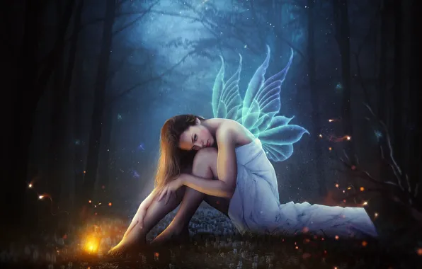 Picture Girl, Forest, Wings, Fairy, Fantasy, Art, Art, Night