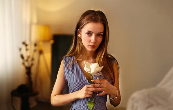 Decoration, flowers, pose, background, room, model, portrait, makeup