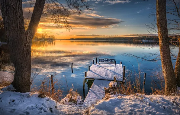 Picture winter, trees, landscape, nature, lake, pier, bench, mostok