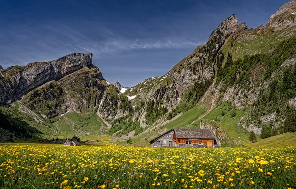 Picture the sun, flowers, mountains, yellow, rocks, Switzerland, Alps, meadow
