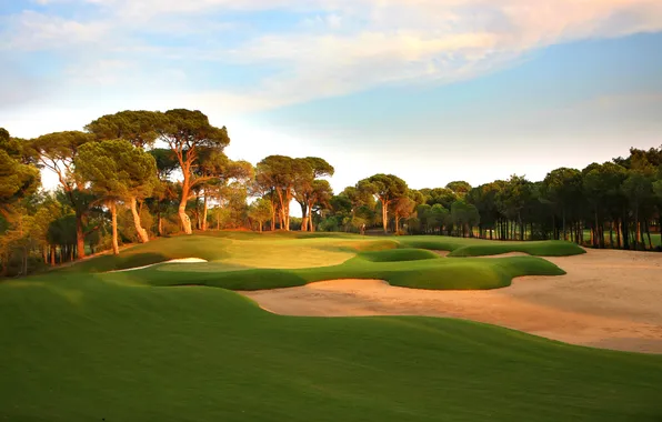 Field, the sky, grass, trees, sport, Golf