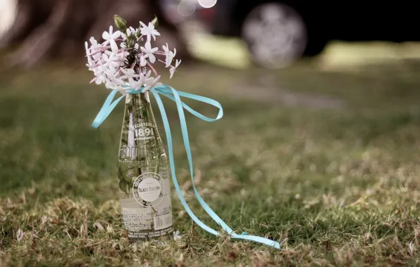 Grass, flowers, bottle, tape
