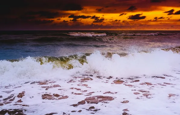Sea, wave, clouds, sunset, horizon, orange sky