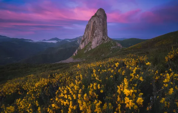 The sky, flowers, mountains, rocks, slope