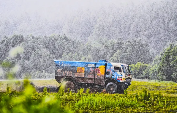 Water, Nature, Grass, Sport, Speed, Rain, Race, Master