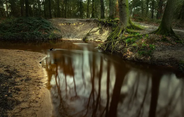 Picture nature, Park, river