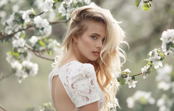 Look, girl, hair, back, dress, Apple, Sergey Sorokin