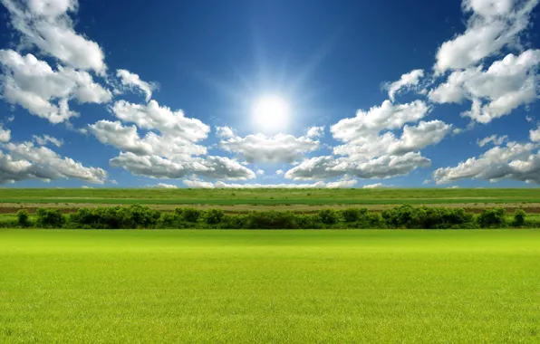 Field, the sun, clouds, 155