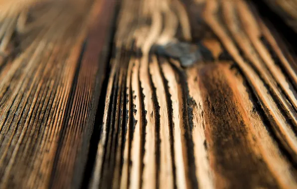 Tree, Board, texture, texture