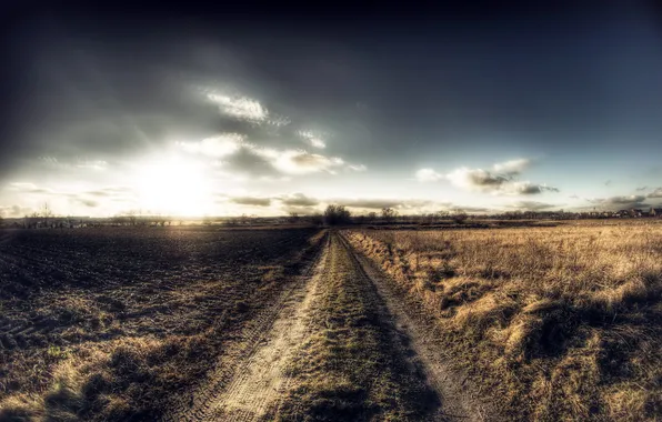 Road, field, landscape, nature, morning