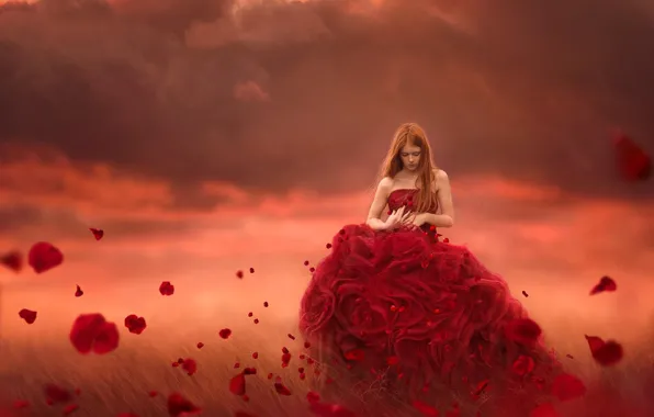 PETALS, The SKY, CLOUDS, DRESS, FLOWERS, RED, ROSES, BUDS