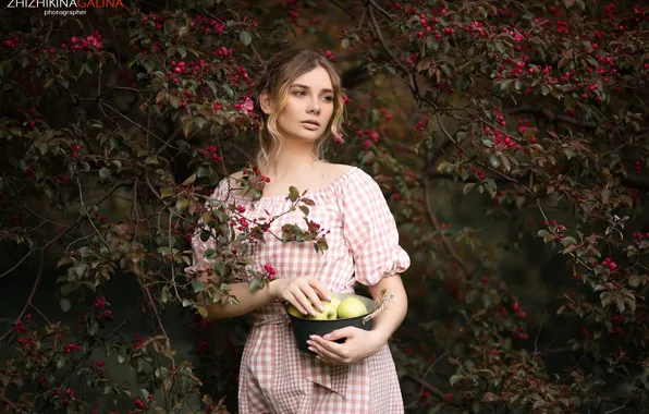 Trees, branches, model, apples, portrait, makeup, garden, dress