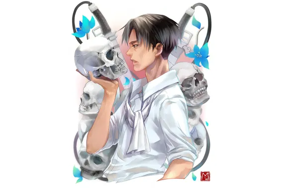 Skull, guy, Attack Of The Titans, Shingeki No Kyojin, corporal Levi, Levi