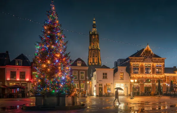 Building, tower, home, area, Christmas, New year, tree, Netherlands