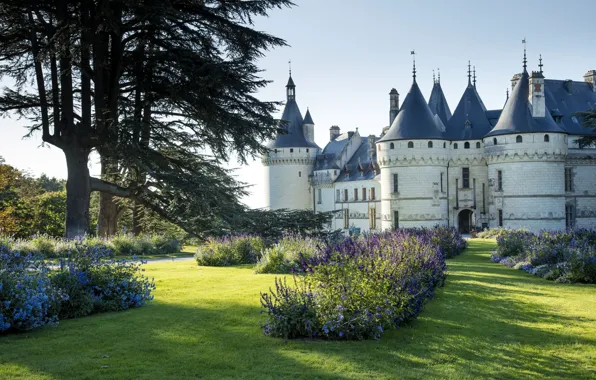 Picture summer, flowers, castle, France, garden, Castle of Bénouville, Chaumont-sur-Loire