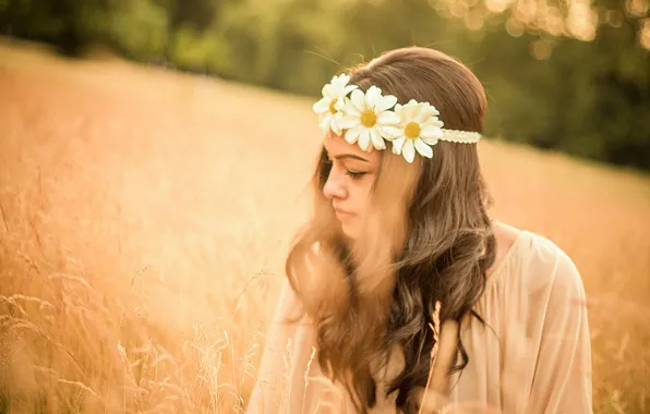 Summer, girl, mood, chamomile, meadow