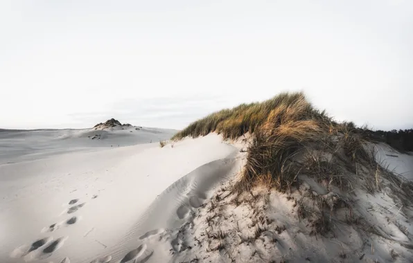 Picture nature, shore, dunes