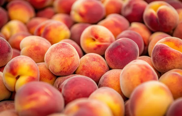 Summer, harvest, fruit, peaches, a lot, AI art, neural network