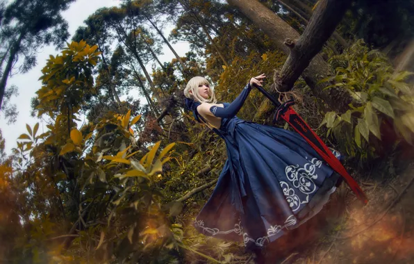 Picture forest, look, leaves, girl, trees, blue, pose, style, weapons, trunks, pattern, foliage, sword, blonde, costume, …