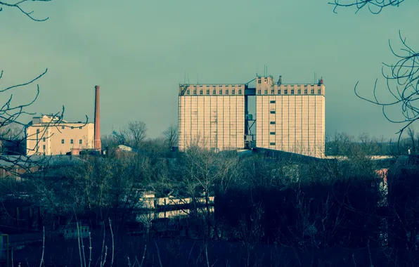 The sky, trees, plant, building, the evening, Russia, architecture, Stan