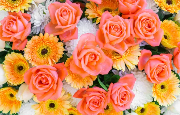 Roses, gerbera, chrysanthemum, asters, yellow flowers, floral background