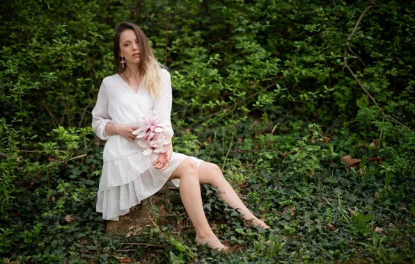 Picture look, girl, face, hair, dress