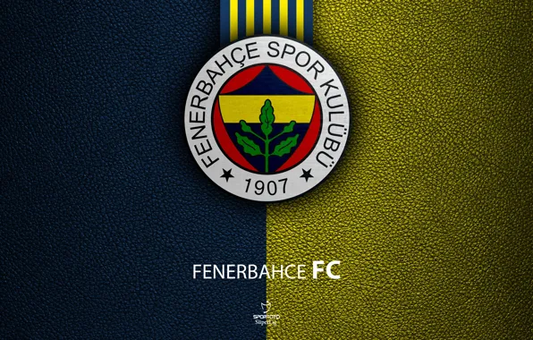 Picture wallpaper, logo, football, Sport, Turkish Superlig, Fenerbahce