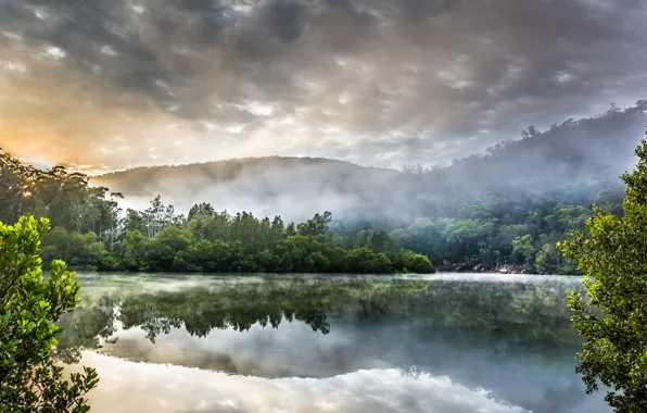 Picture forest, the sky, clouds, trees, mountains, fog, lake, shore