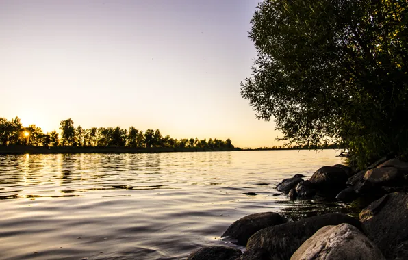 Picture water, the sun, nature
