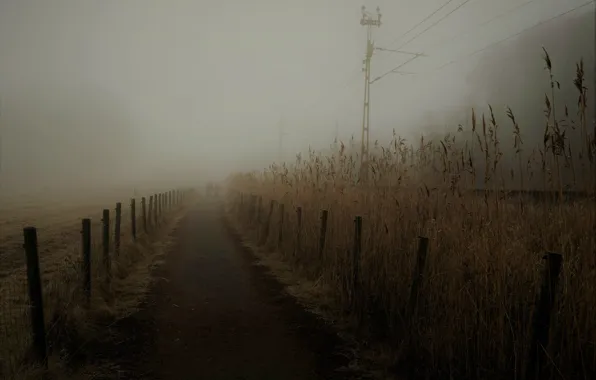 Wallpaper morning, road, fog