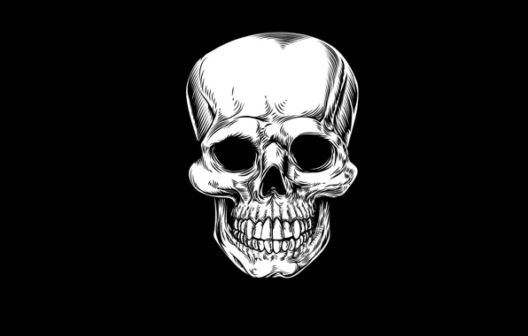 Skull, minimalism, head, skeleton, sake, black background