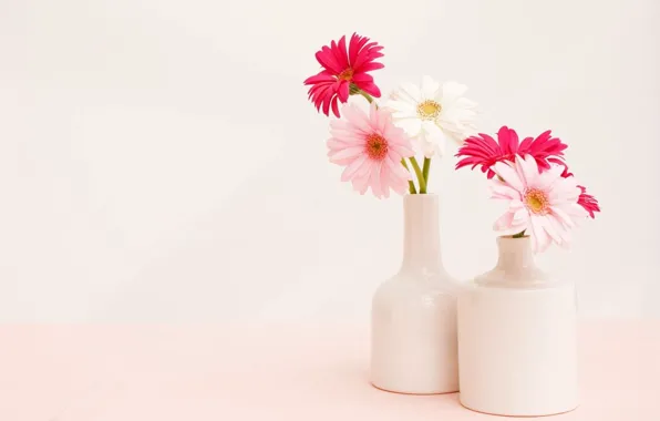 Background, bouquet, light, vase, Gerbera