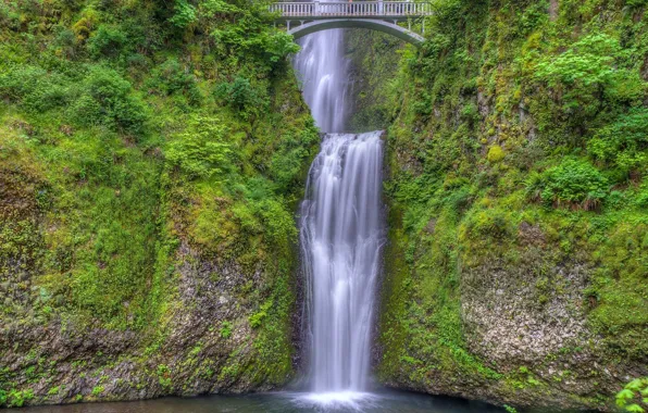 Bridge, waterfall, Oregon, cascade, Oregon, Columbia River Gorge, the Multnomah falls, Benson Bridge