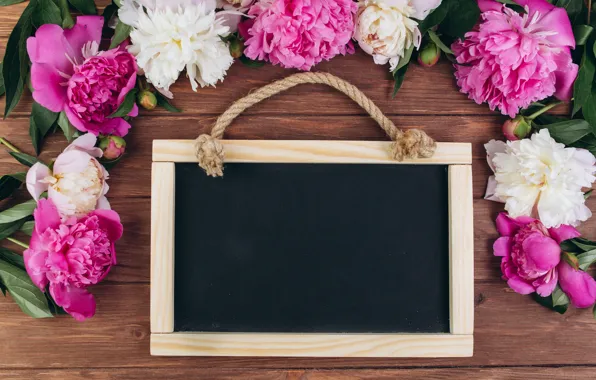 Flowers, frame, pink, white, white, wood, pink, flowers