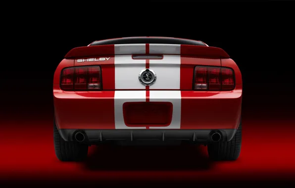 Shelby, GT500, Cobra