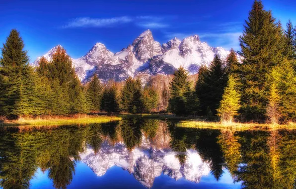 Picture forest, mountains, lake