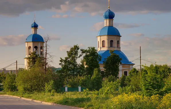 Summer, trees, church