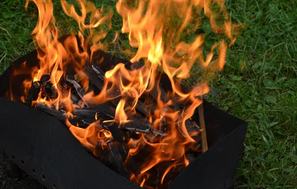 Summer, grass, fire, flame, stay, the evening, cottage, Karelia