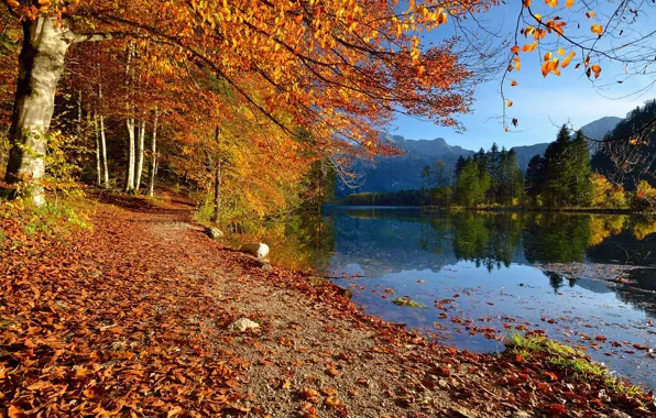 Autumn, trees, landscape, mountains, nature, lake, shore, Austria