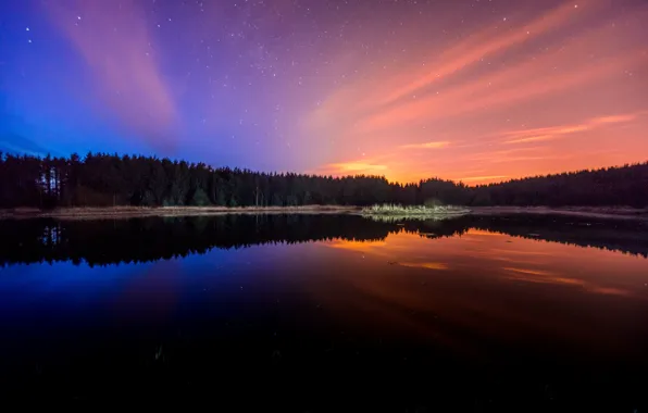 The sky, water, stars, trees, landscape, nature, lake, reflection