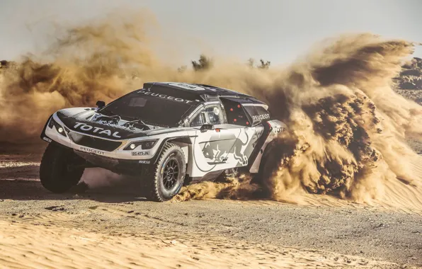 Sand, Sport, Speed, Race, Skid, Peugeot, Lights, Red Bull