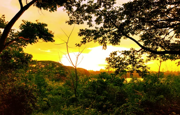 Picture Sky, Sun, Water, Sunrise, Dawn, Morning, Lake, Trees