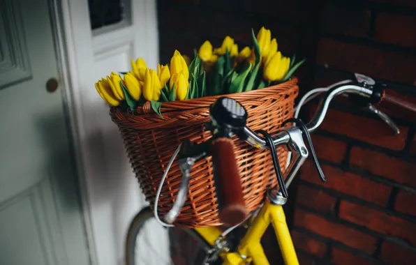 Picture bike, basket, yellow, tulips