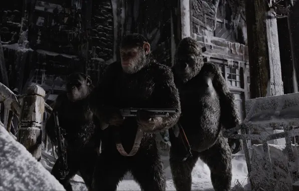Cinema, gun, monkey, weapon, snow, movie, gorilla, shotgun