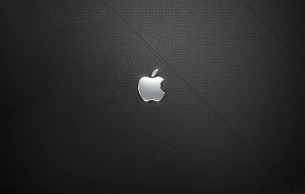 Picture black, Apple, leather