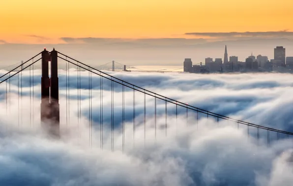 The sky, bridge, the city, fog