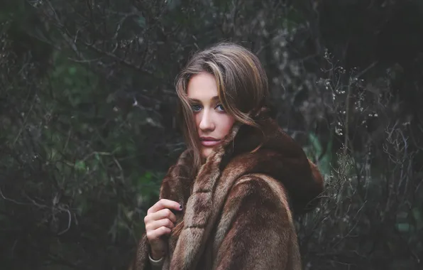 Look, nature, face, hair, fur